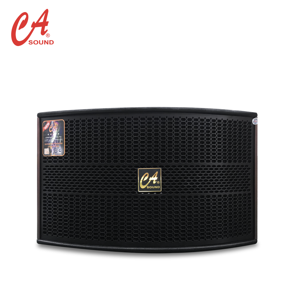 CA Loudspeaker K-310 Plus